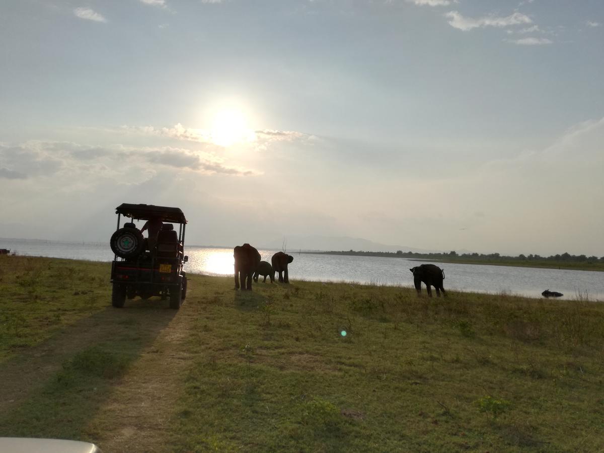 Induwara Safari Resort اوداوالاوي المظهر الخارجي الصورة