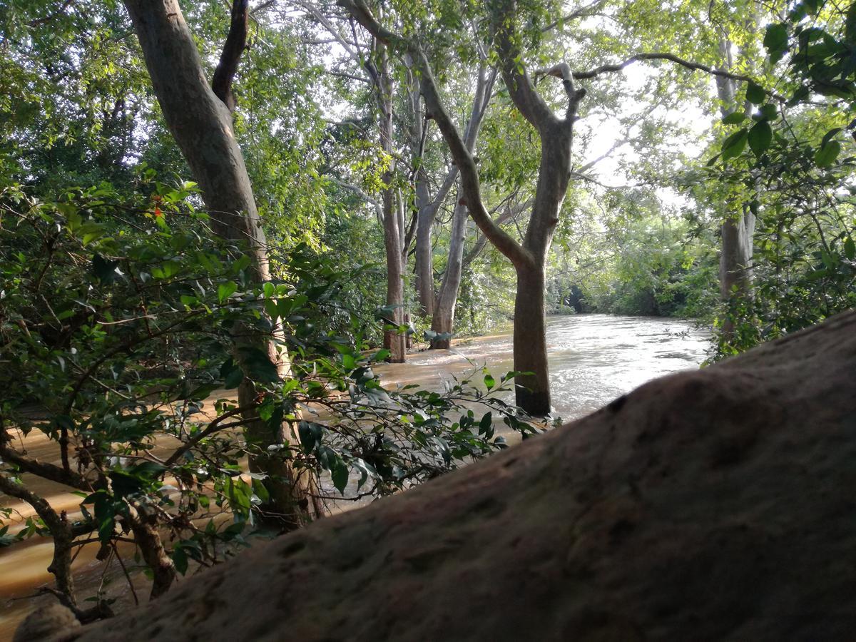Induwara Safari Resort اوداوالاوي المظهر الخارجي الصورة