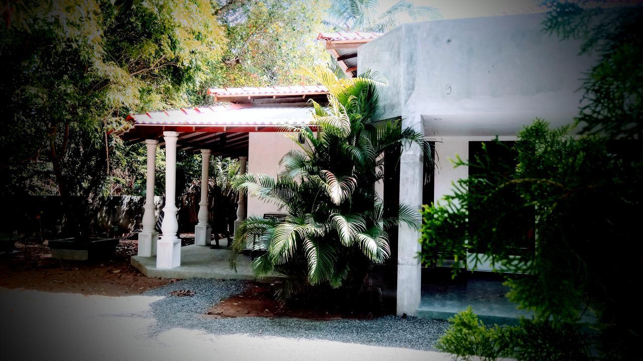 Induwara Safari Resort اوداوالاوي المظهر الخارجي الصورة